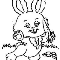 小白兔吃胡萝卜