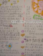 端午节吃粽子