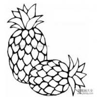 美味的菠萝简笔画图片