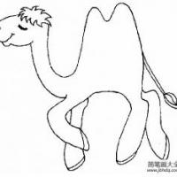 骆驼简笔画画法图片