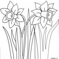 水草花简笔画