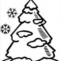圣诞树简笔画大全 雪地里的圣诞树