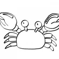 8张卡通小螃蟹简笔画的画法