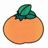 橘子的简单画法,橘子幼儿简笔画