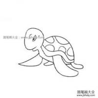 两张海龟的简笔画图片