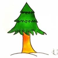 松树儿童简笔画,松树的画法彩色