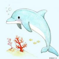 可爱的小海豚海底世界水彩示范画