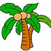 椰子树简笔画的画法步骤图解教程