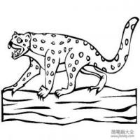 史前动物 袋狮简笔画图片
