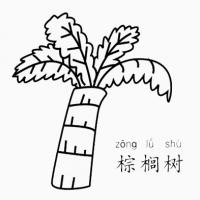 棕榈树怎么画