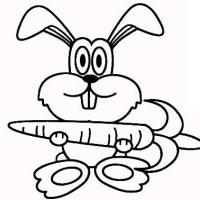 爱吃葫萝卜的兔子简笔画图片