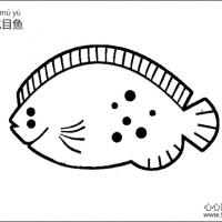 比目鱼简笔画