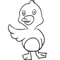 【小鸭子简笔画】超可爱卡通小鸭子简笔画图片大全