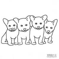 四只宠物小狗简笔画图片