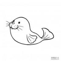 可爱海狮简笔画