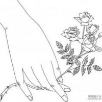 微型玫瑰简笔画图片