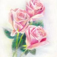 玫瑰花手绘彩铅作品之一束玫瑰花