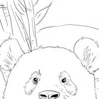 疑惑的大熊猫简笔画