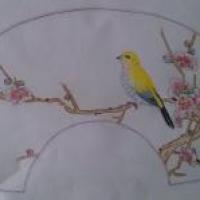 枝头上的黄鹂鸟