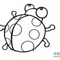 简笔画大全 七星瓢虫简笔画图片