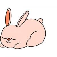 在睡觉的可爱兔子简笔画