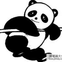 熊猫简笔画