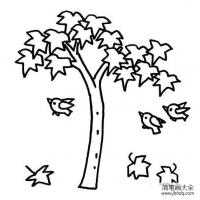 枫树、小鸟、落叶简笔画