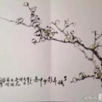墙角数枝梅,中国画花鸟写意梅花作品展示
