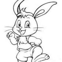 简笔画画小兔 小兔简笔画图片