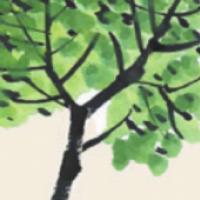 儿童学画画教程_国画杨树的简单画法
