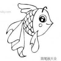 幼儿金鱼简笔画图片