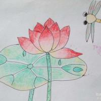 小学生蜡笔画作品-蜻蜓和荷花