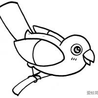 QQ红包鸟怎么画?