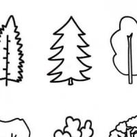几种常见的大树简笔画的画法