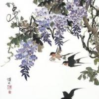 紫藤花和燕子关于春天的国画