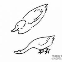 小鸭的简笔画法