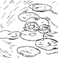 简画池塘里的荷花