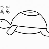 乌龟怎么画