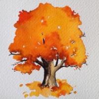秋天的大树水彩画教师范画