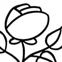 玫瑰花的画法步骤素描