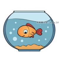 鱼缸里可爱的小金鱼简笔画图片