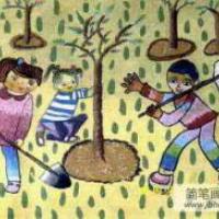 植树节儿童画欣赏-看看我们是怎样植树的