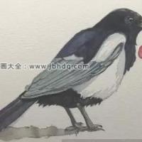 教你用水彩画出好看的喜鹊