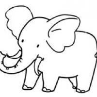 简单又好看的大象简笔画的画法