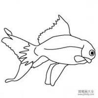 宠物鱼简笔画图片