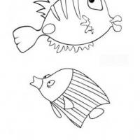 鱼的简笔画11张