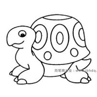 一组可爱的乌龟简笔画图片