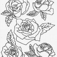 花朵简笔画图片 红玫瑰简笔画