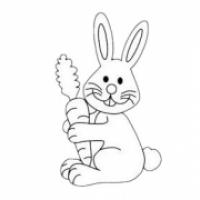 卡通兔子简笔画步骤图解教程及图片大全