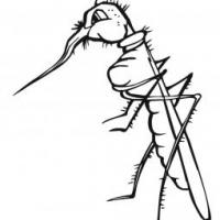 动漫蚊子简笔画图片